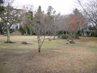 亀山古城跡(亀山公園)